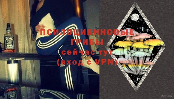 дурь Алексин