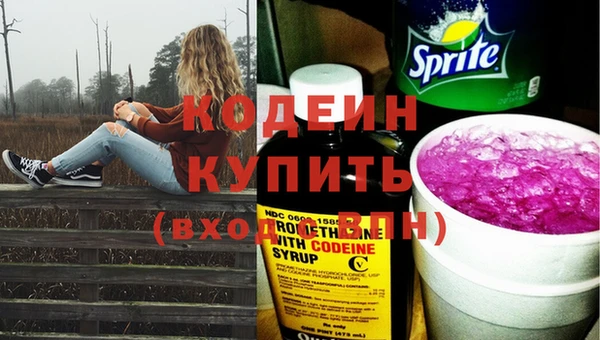 дурь Алексин
